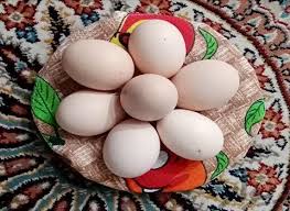 تصویر 2 از قیمت خرید تخم مرغ محلی عمده با فروش ویژه